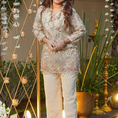 Premium French Crepe Embroidered Occasion Set